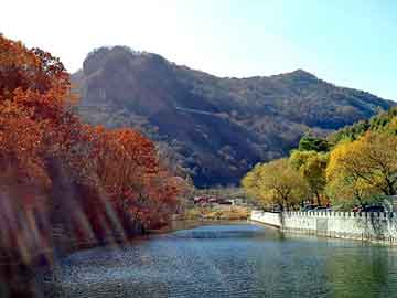 澳门二四六天天彩图库，官场风水师